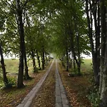 Dadaj Park וילה ביסקופייש