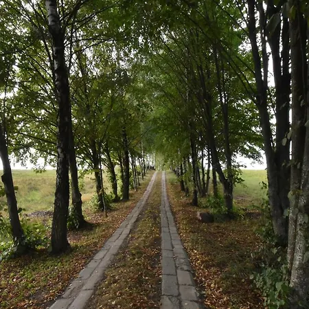 Dadaj Park וילה ביסקופייש